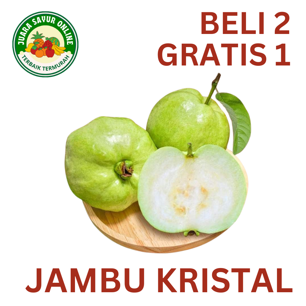 

Jambu Kristal Segar 1 kg (BELI 2 kg GRATIS 1 kg) sekilo isi 3-5