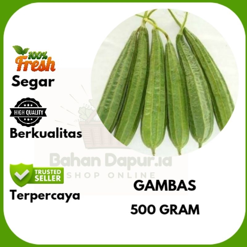 

GAMBAS / OYONG | 500 GRAM | Bahan Dapur .id
