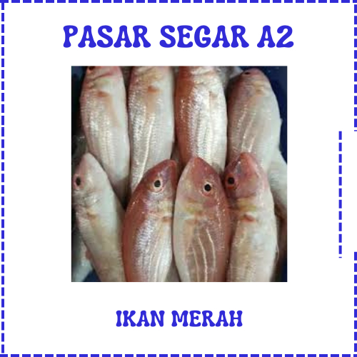 

PERPAKET IKAN MERAH PASAR SEGAR MAKASSAR/PASAR TERONG ONLINE MAKASSAR