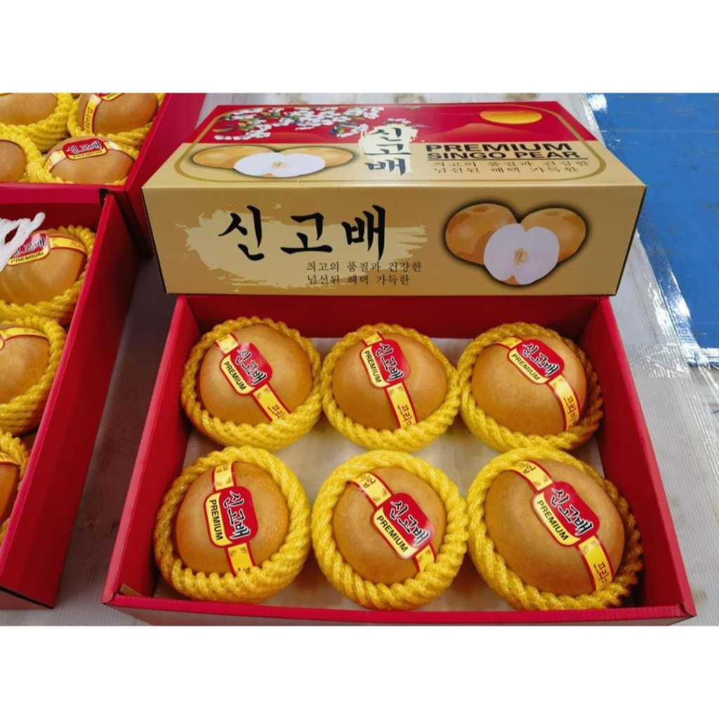

PREMIUM PEAR SINGO JUMBO 6'-8' - GIFT BOX IMLEK