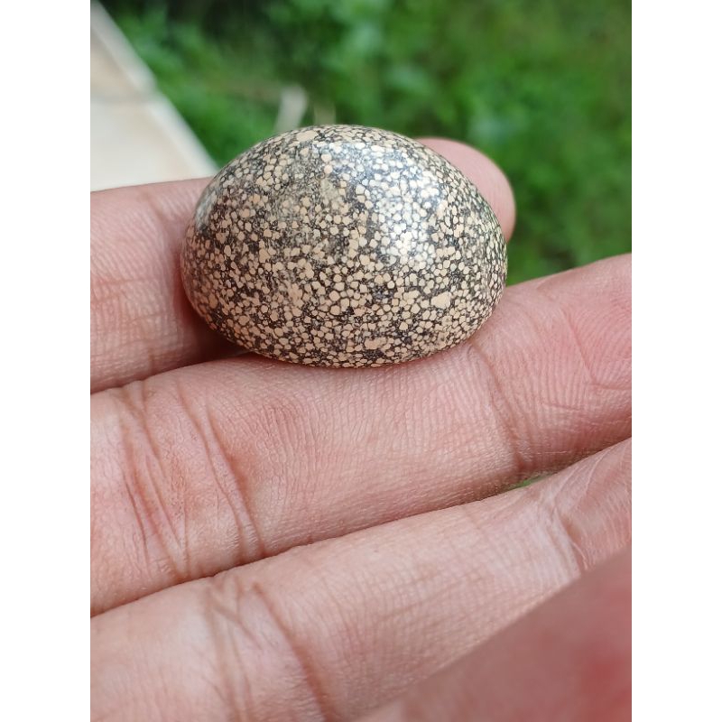 batu wisa batu anti wisa/racun