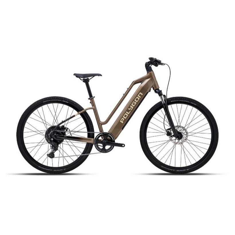 Polygon Kalosi Miles C1 Sepeda Hybrid E-bike