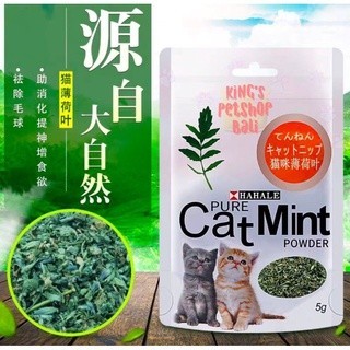 Catnip Mint / Catnip for Cat / Catnip kucing / Catnip Mint