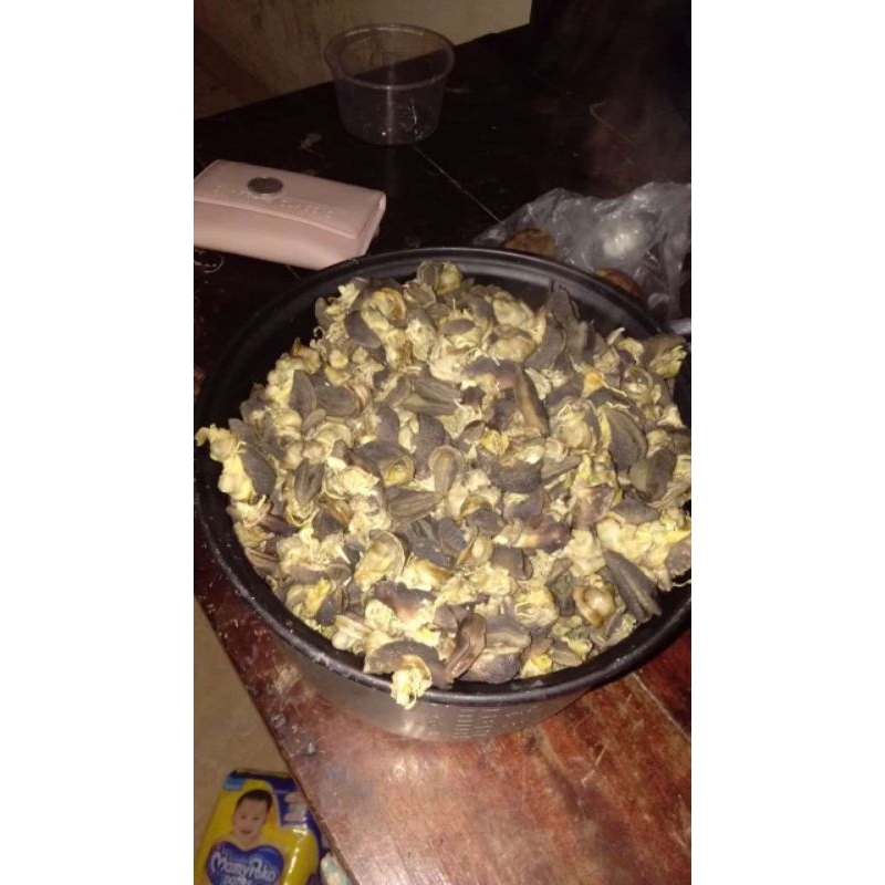 

Bekicot200gr,500gr,1kg/siputtanah/bekicotrebus