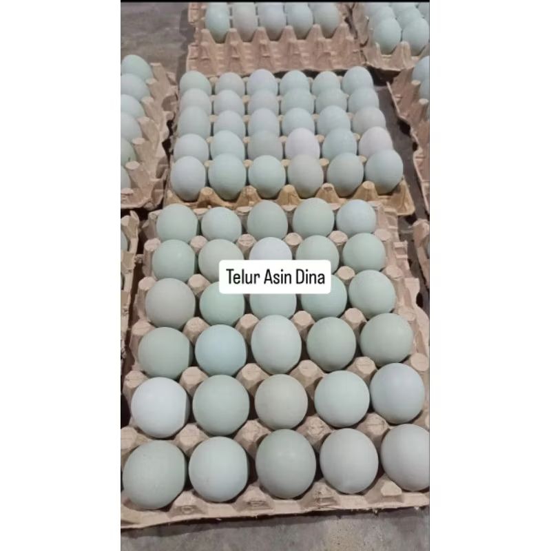 

TELUR ASIN MASIR