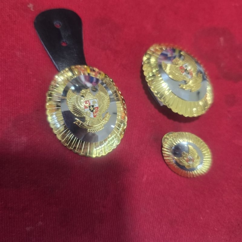 Tanjab wakil bupati-wakil walikota-gobang wakil bupati/wakil walikota