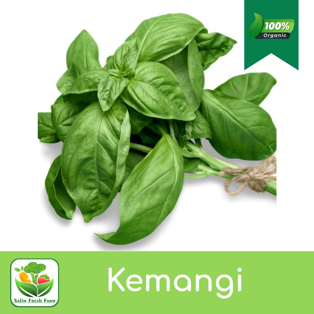 

Kemangi super/Kemangi daun lebar/Kemangi lalapan/Kemangi segar/Kemangi 1 ikat