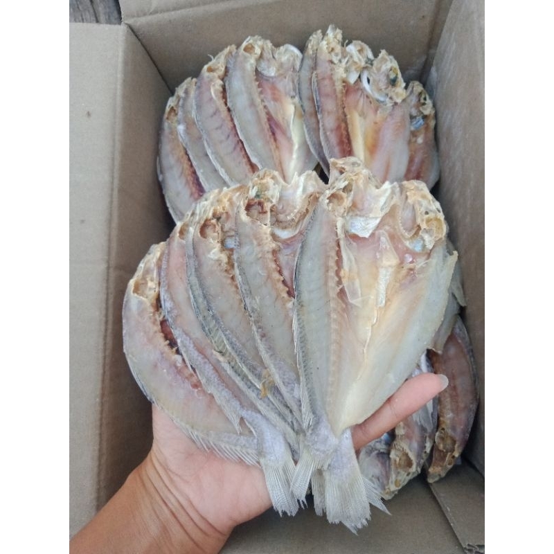 

gulama belah asin/tetet belah asin super 500gr