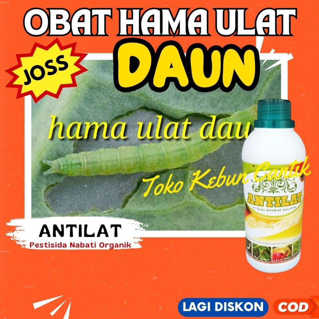 Obat Hama Ulat ANTILAT 500ML – Pestisida Ulat Tanaman Organik untuk Tanaman Padi, Tomat, dan Cabe