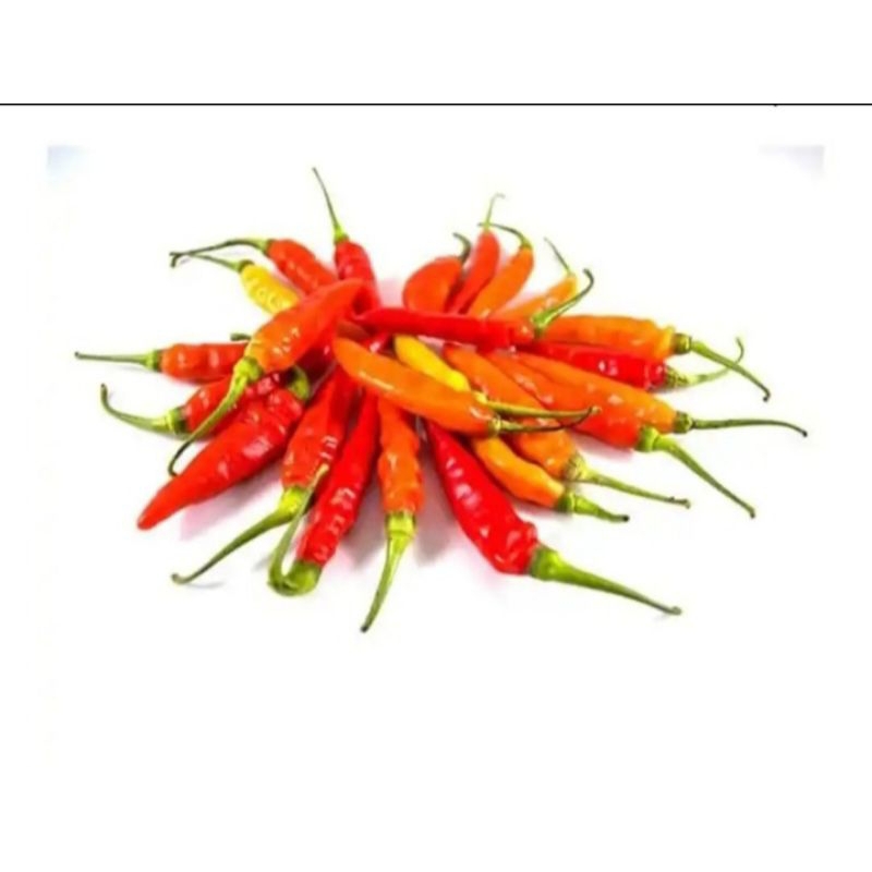 

Cabe rawit ORI pilihan 250g