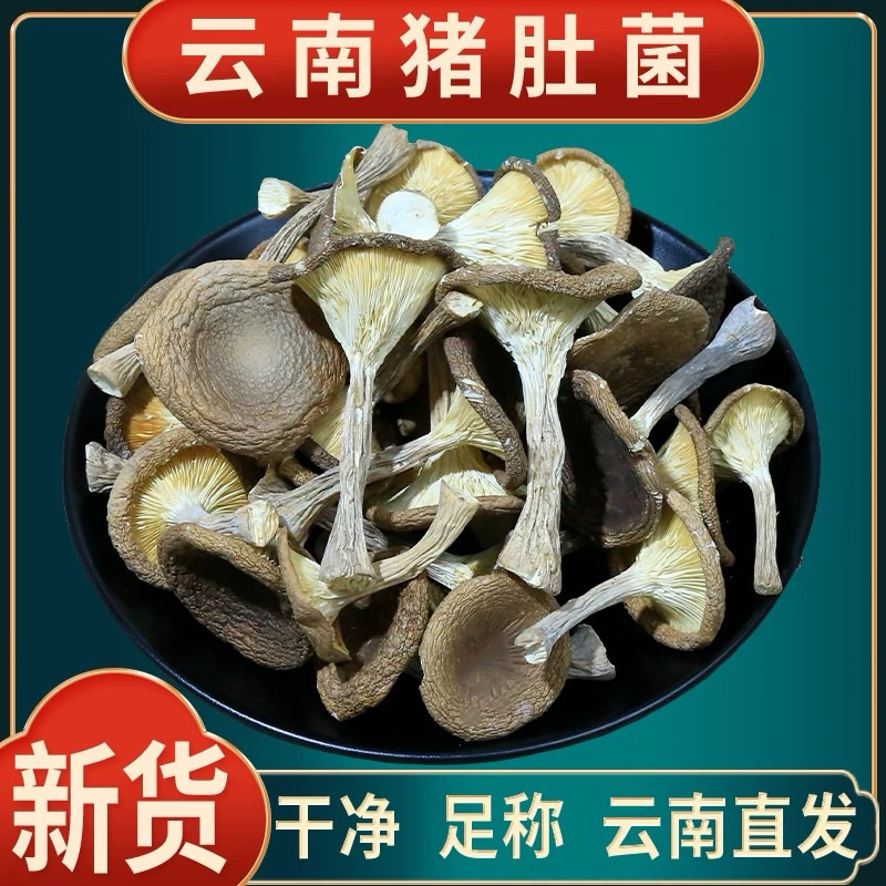 

Jamur Zhu Du Jun 250gram Jamur Yunan