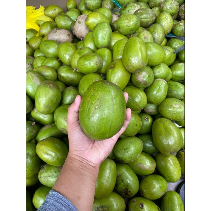 

KEDONDONG BANGKOK 1KG - FRESH BARU PETIK SEGAR UNTUK RUJAKAN