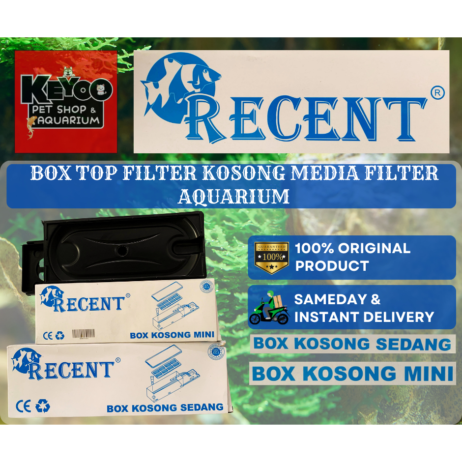 TOP FILTER KOSONG RECENT SEDANG TOP FILTER KOSONG MINI AQUARIUM AQUASCAPE RECENT