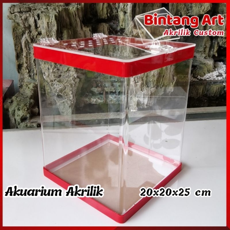 Akuarium akrilik / akuarium aquascape