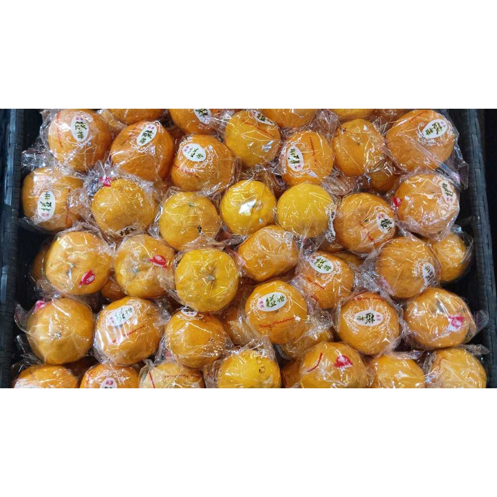 

JERUK PONKAM 900G-1000G