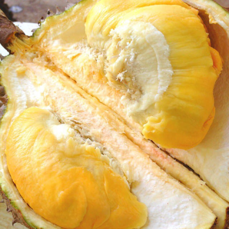 

Duren super montong lokal premium 500gr durian kupas frozen
