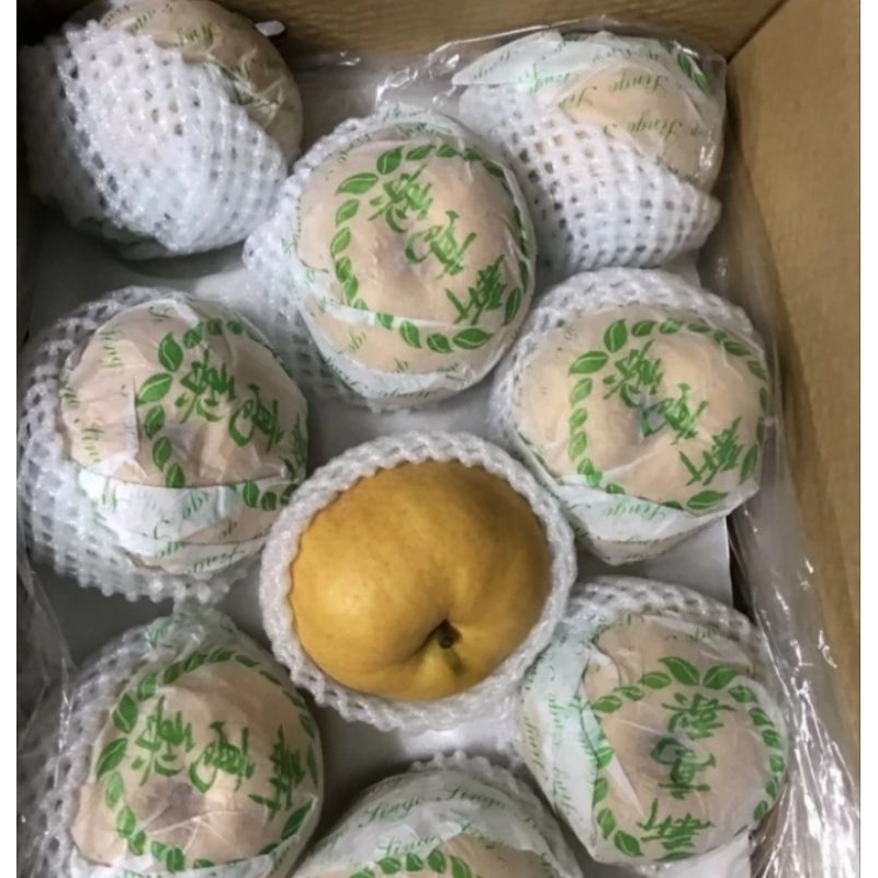 

Buah pear li singo coklat Korea 1 dus