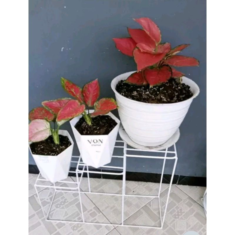 rak bunga / standing pot / rak susun / rak serbaguna / besi 6mm