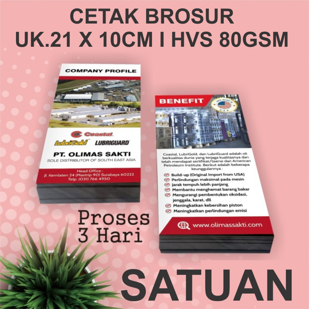 

Cetak Brosur 1 sisi ukuran 21 x 10 panjang custome bisa satuan semua ready packing aman