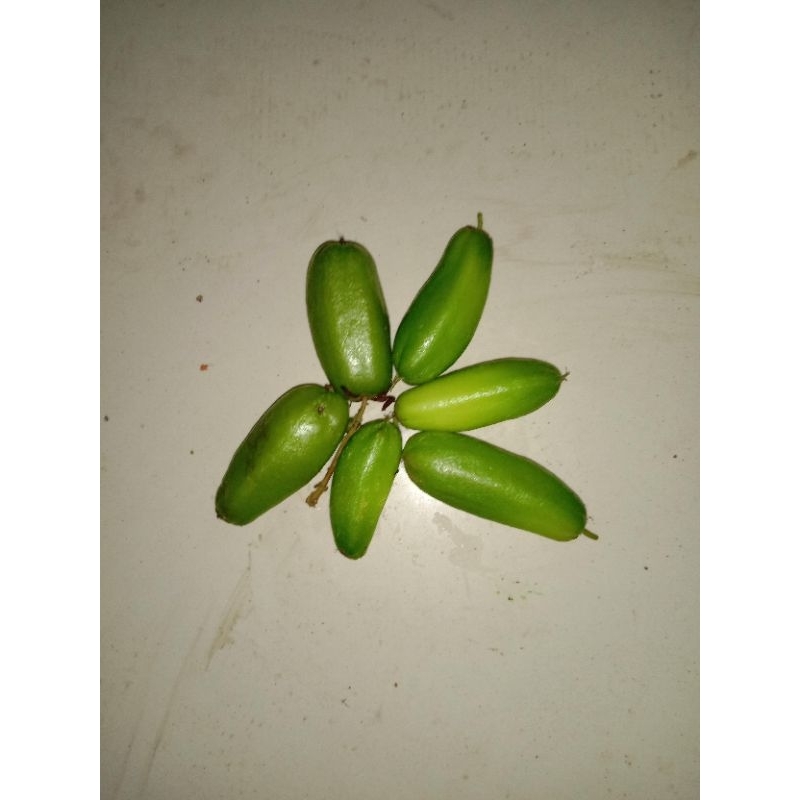 

belimbing sayur 1kg , Rp.15, 000