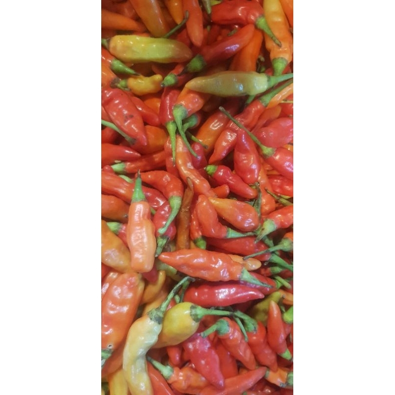 

Cabe rawit merah 100 g