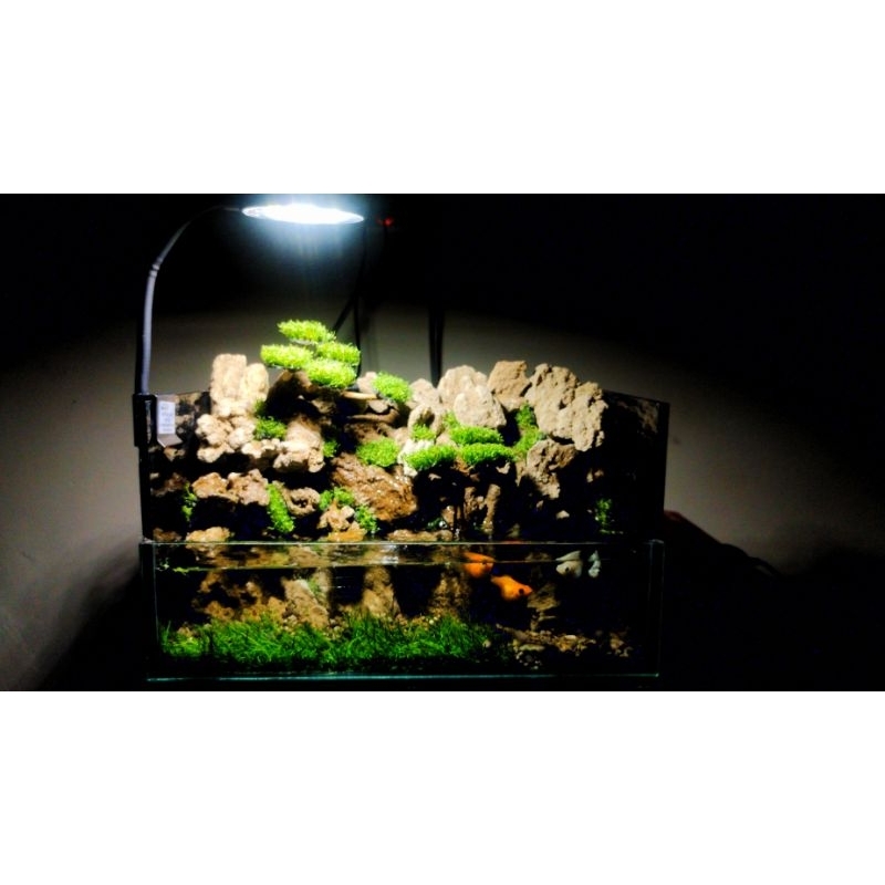 Paludarium Mini Airterjun2 arus Fullset lampu filter