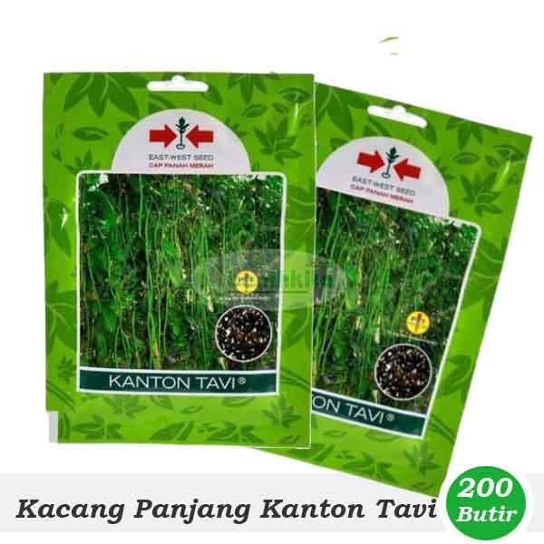 Benih-Bibit Kacang Panjang Kanton Tavi (Cap Panah Merah)