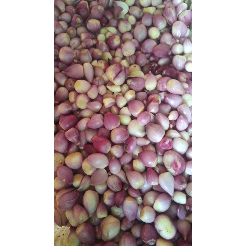 

bawang merah kupas super 250 gram