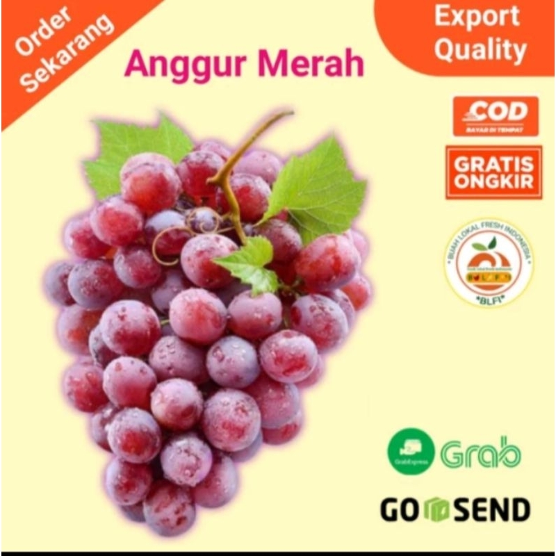 

anggur merah 1 kg 135000