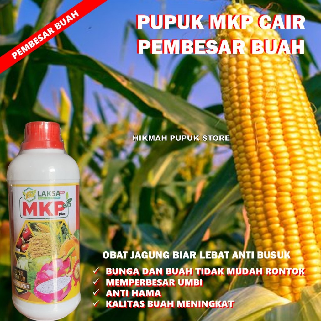 pupuk mkp laksa pupuk organik pupuk jagung pupuk buah pupuk bunga pupuk jagung, cabai pupuk perangsa