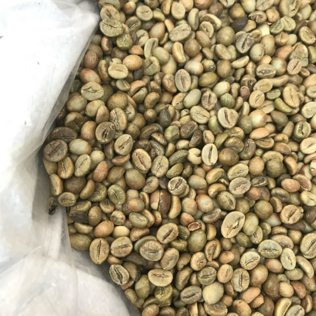 

Green beans kopi robusta 1kg, Biji kopi mentah