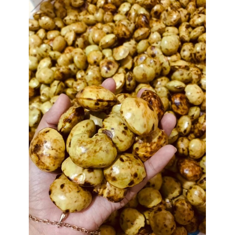 

Jengkol Tua Fresh 1 kg | Jengki | Jreng
