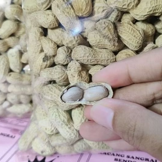 

KACANG ASIN KACANG KULIT OVEN 1KG