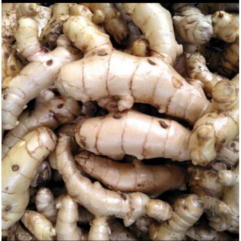 

kunyit putih /temu putih 1kg