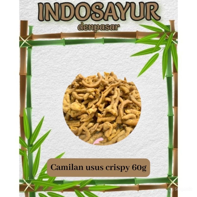 

Camilan usus goreng crispy 60g _ INDOSAYUR