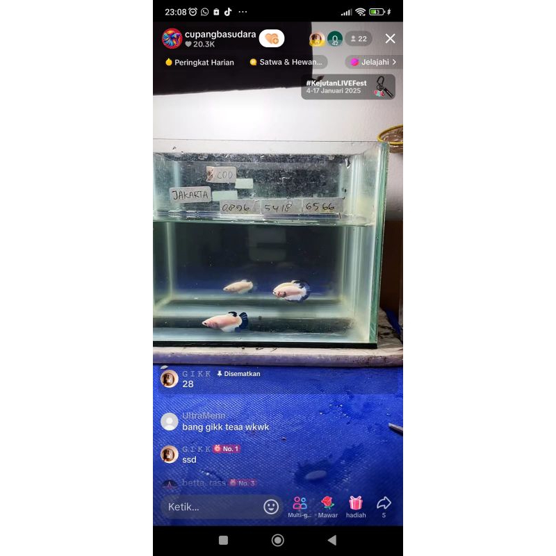 

ikan giks