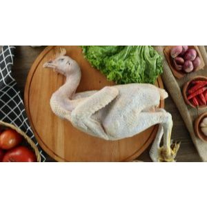 

AFCO AYAM KAMPUNG FRESH 500GR - 600GR