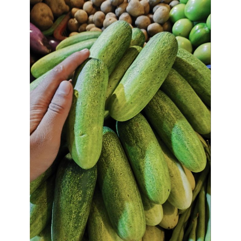 

timun/cucumber berat 1kg