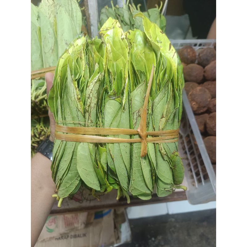 

sirih medan kabanjahe 1 pedi
