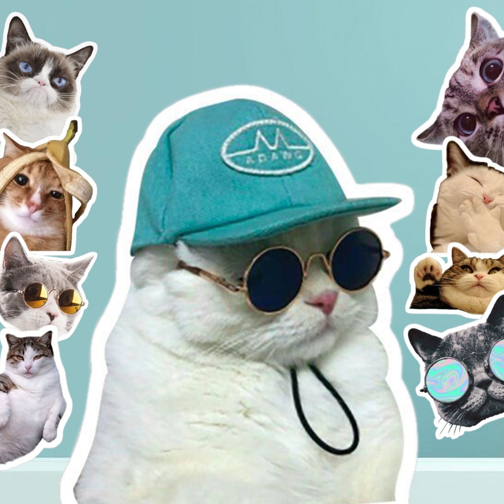 

[isi 15 pcs] sticker meme kucing HOLOGRAM gaya kucing lucu stiker untuk Buku Tempel/Buku Harian/Dekorasi Laptop/Sticker Helm Tahan Air Vinyl Decal Keren Mini Sticker Sheet