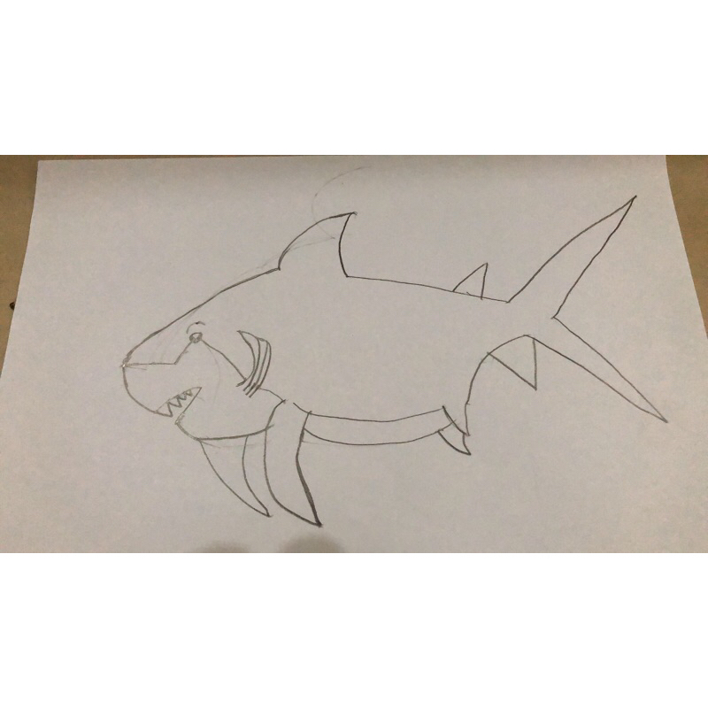 Ikan Hiu