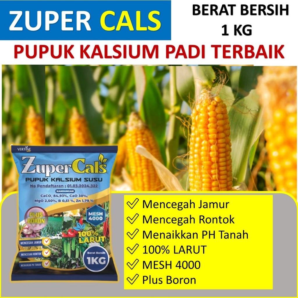 zuper cals 1 kg Untuk Jagung Lebat Anti Bulai, Busuk Batang, Daun dan Buah Jagung – Obat Nutrisi Pem