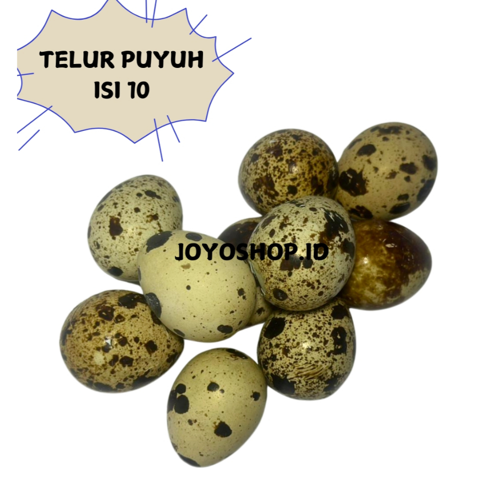 

[JOYO SHOP] TELUR PUYUH ISI 10 / BUNGKUS