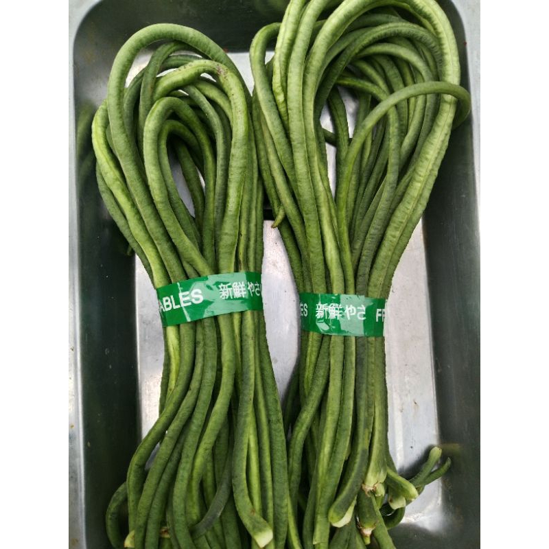 

kacang panjang 250gr mang sayur