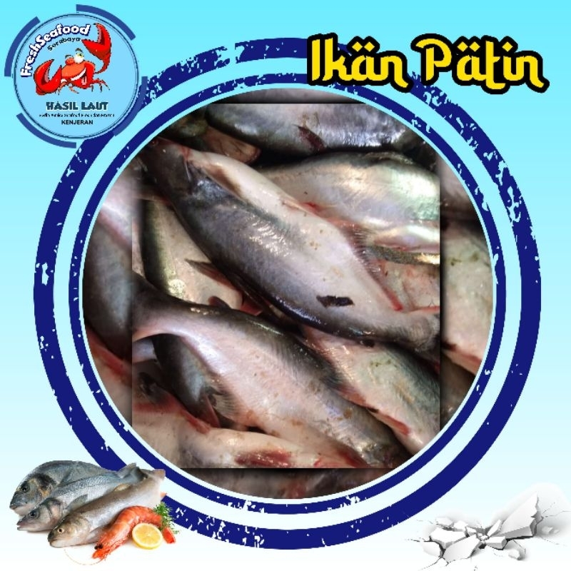 

ikan patin