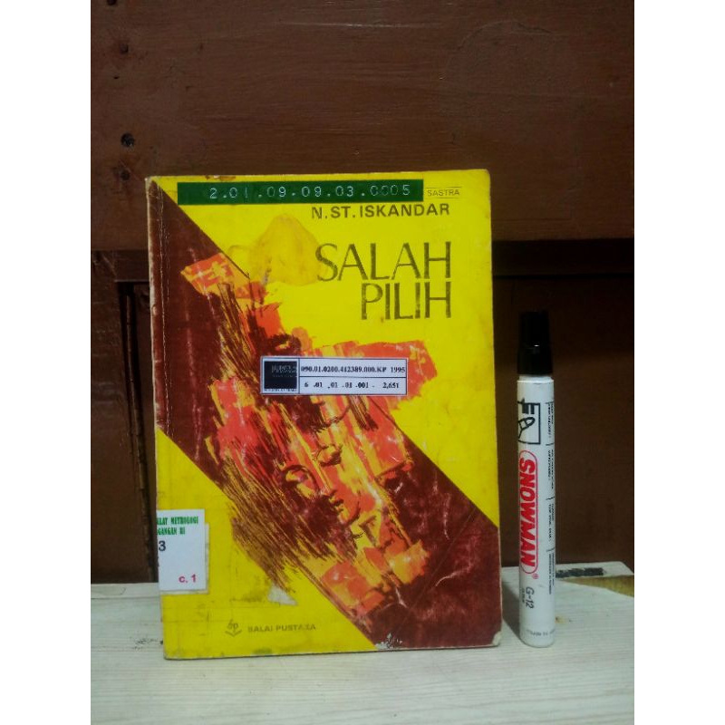 Buku Salah Pilih N. St. Iskandar