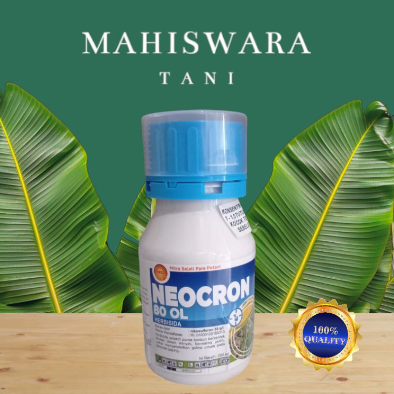 NEOCRON 250ML/ HERBISIDA SELEKTIF JAGUNG NEOCRON 80 OL