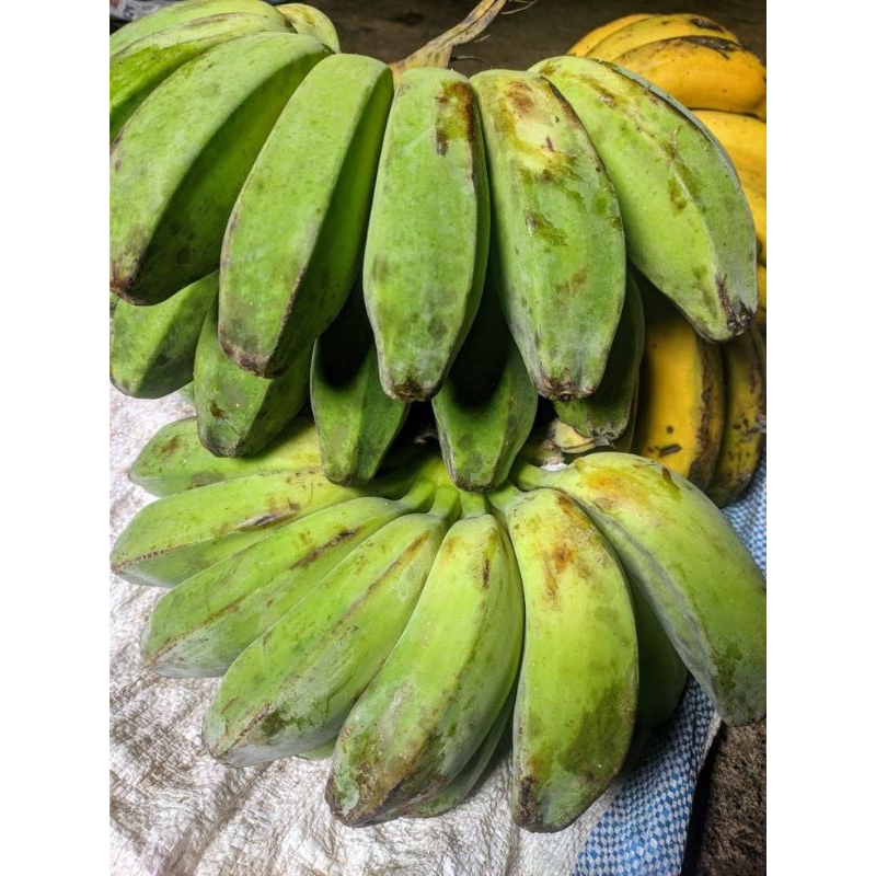 

pisang kepok mentah 1 sisir