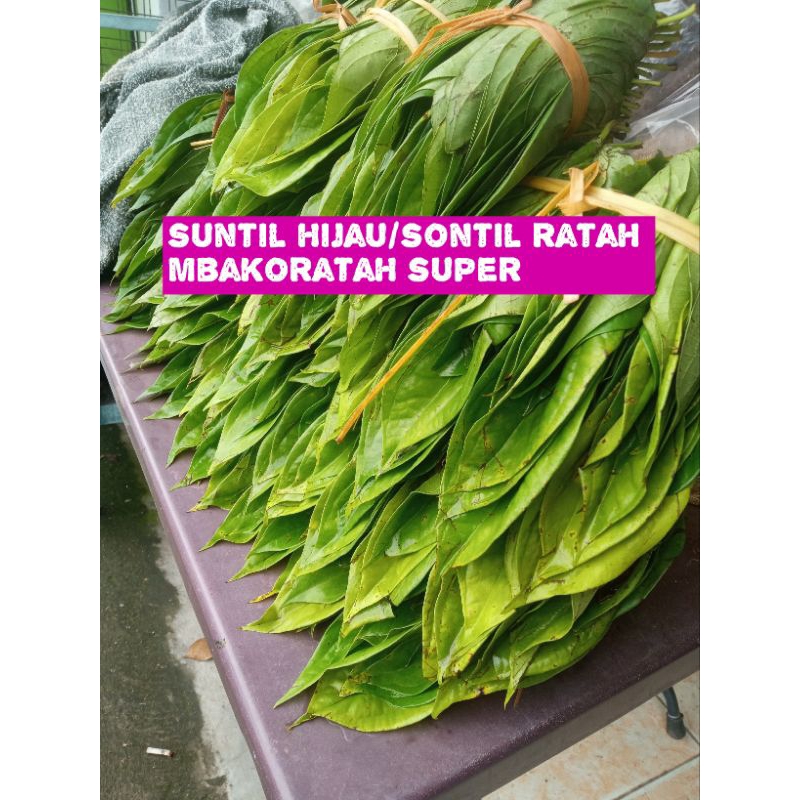 

sirih Medan/suntil hijau/sontil ratah/mbakoratahmedan super 1kg#sirihmedan #suntilhijau #mbakoratah #suntilkuning #suntilhitam #mbakogayo #mbakogersing #kapursirih #gambirmahabunga #gambir