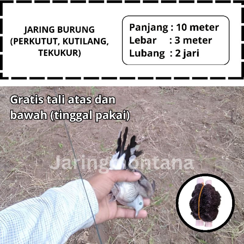 JARING BURUNG PERKUTUT JARING BURUNG KUTILANG JARING BURUNG SAWAH SIAP PAKAI